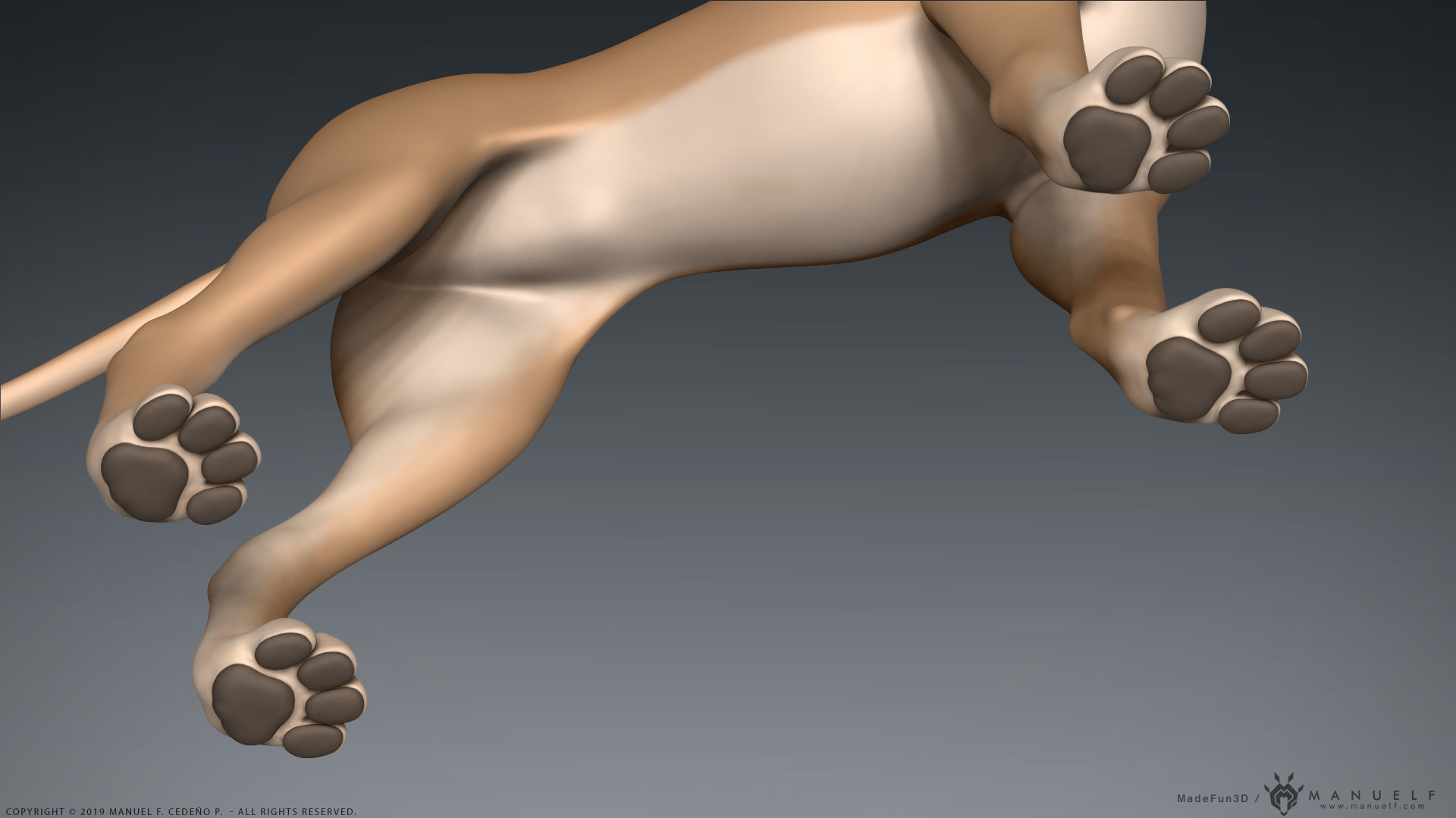 Stylized Cartoon Dog Low-poly 3D model_10