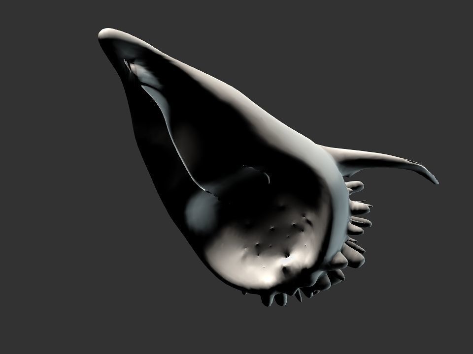 Beak Ox Skull for 3D print 3D print model_37