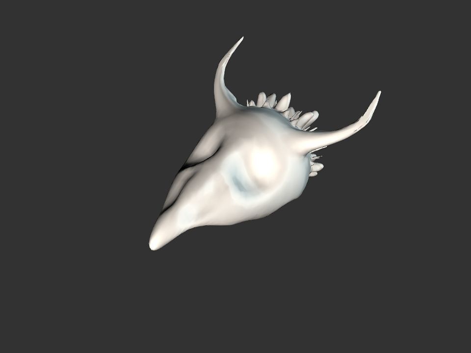 Beak Ox Skull for 3D print 3D print model_2