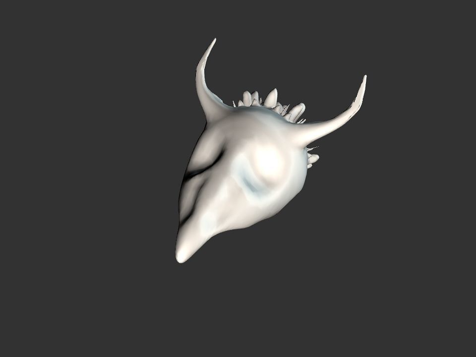 Beak Ox Skull for 3D print 3D print model_1