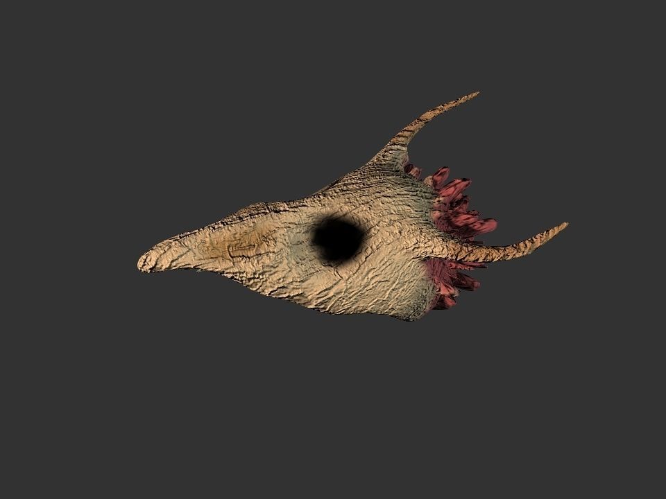 Beak Ox Skull for 3D print 3D print model_47