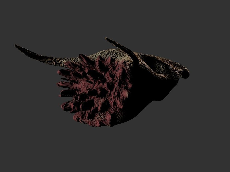 Beak Ox Skull for 3D print 3D print model_63