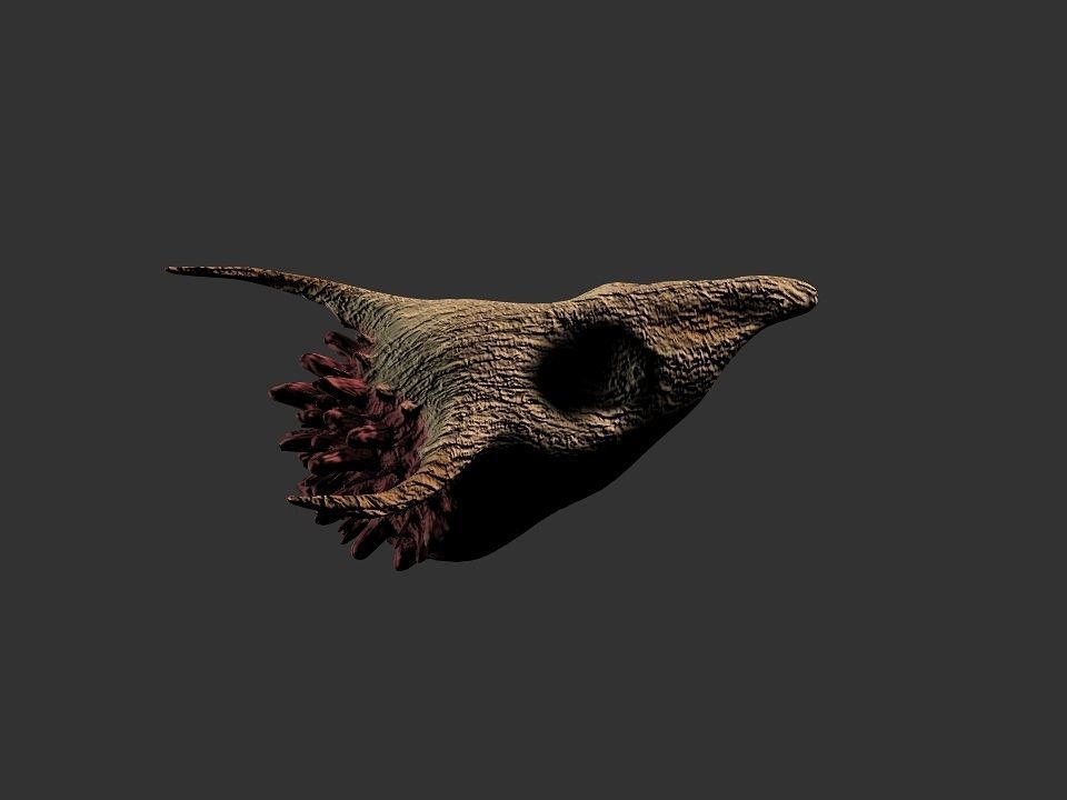 Beak Ox Skull for 3D print 3D print model_56