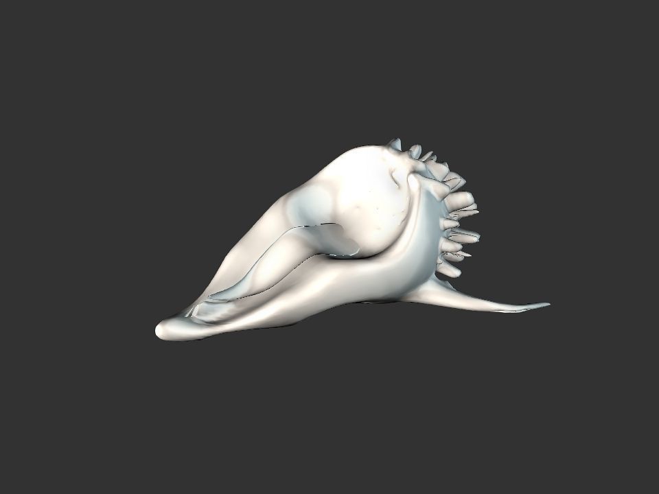 Beak Ox Skull for 3D print 3D print model_39
