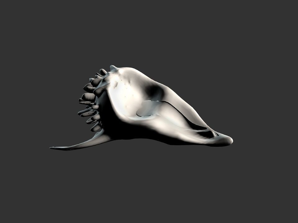 Beak Ox Skull for 3D print 3D print model_42