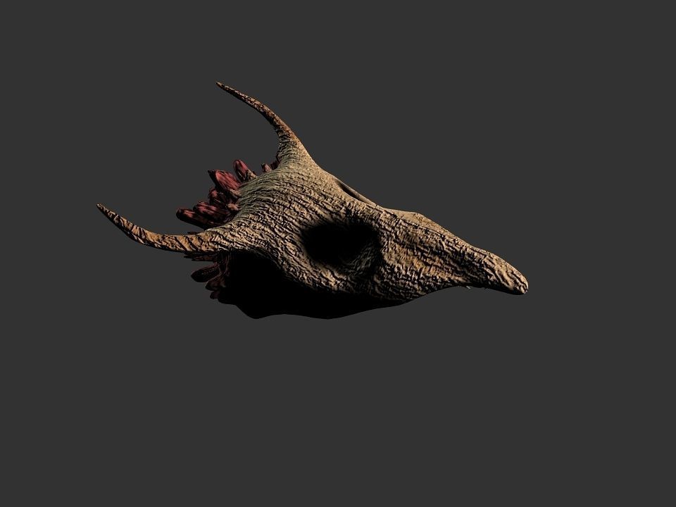 Beak Ox Skull for 3D print 3D print model_60