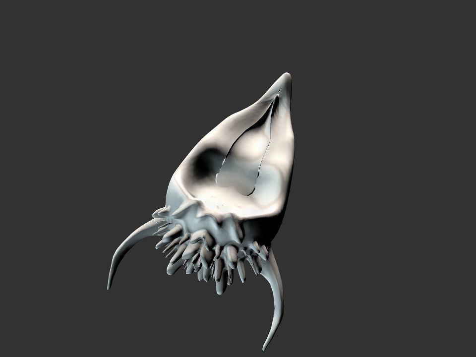 Beak Ox Skull for 3D print 3D print model_43