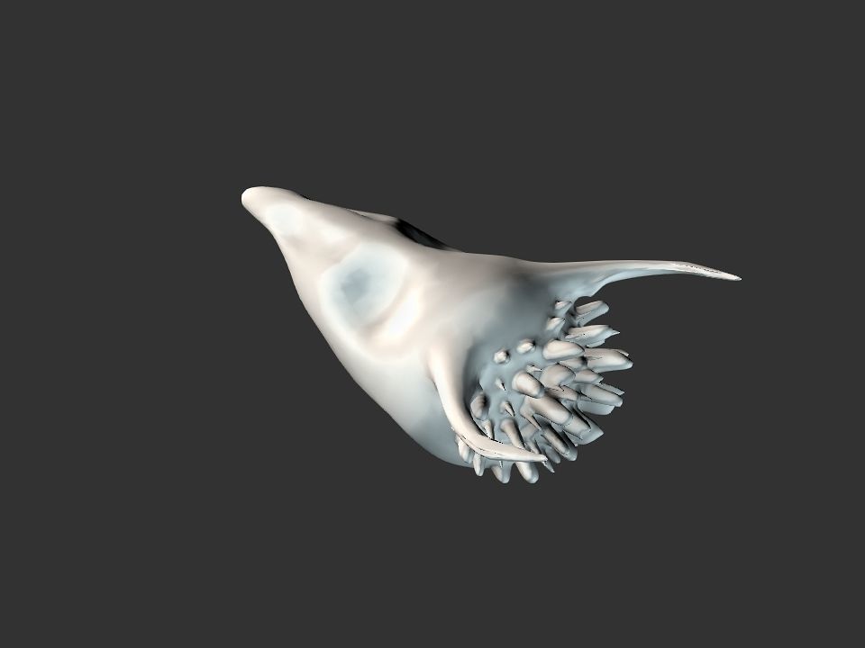 Beak Ox Skull for 3D print 3D print model_9