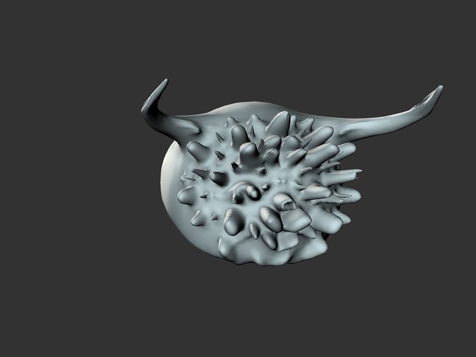 Beak Ox Skull for 3D print 3D print model_35
