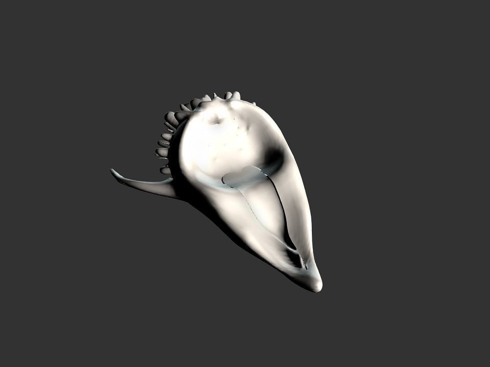 Beak Ox Skull for 3D print 3D print model_40