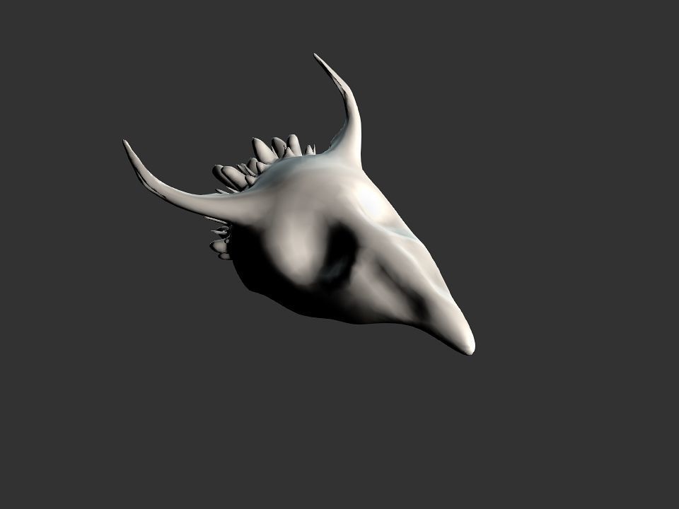 Beak Ox Skull for 3D print 3D print model_31