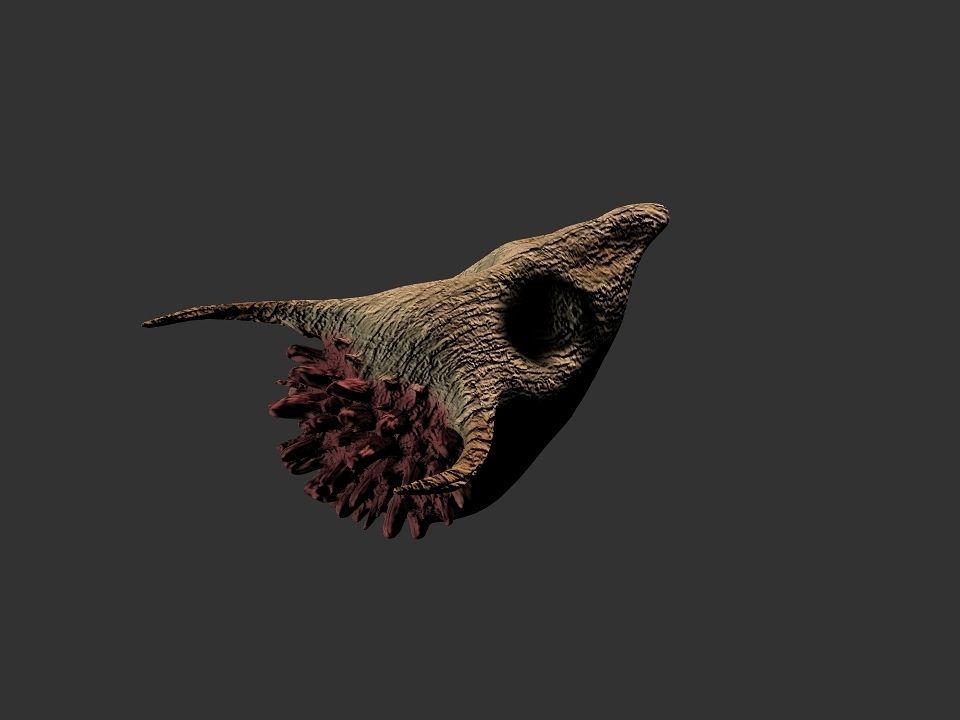 Beak Ox Skull for 3D print 3D print model_52