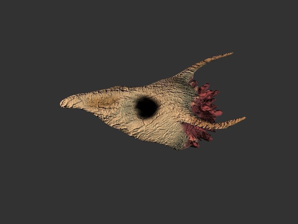 Beak Ox Skull for 3D print 3D print model_50