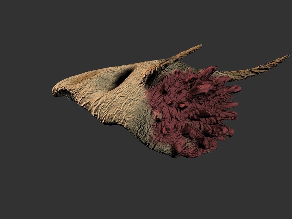 Beak Ox Skull for 3D print 3D print model_67