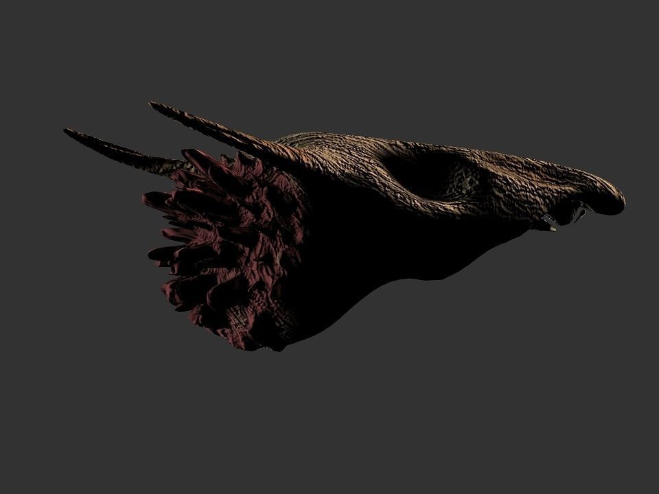 Beak Ox Skull for 3D print 3D print model_64