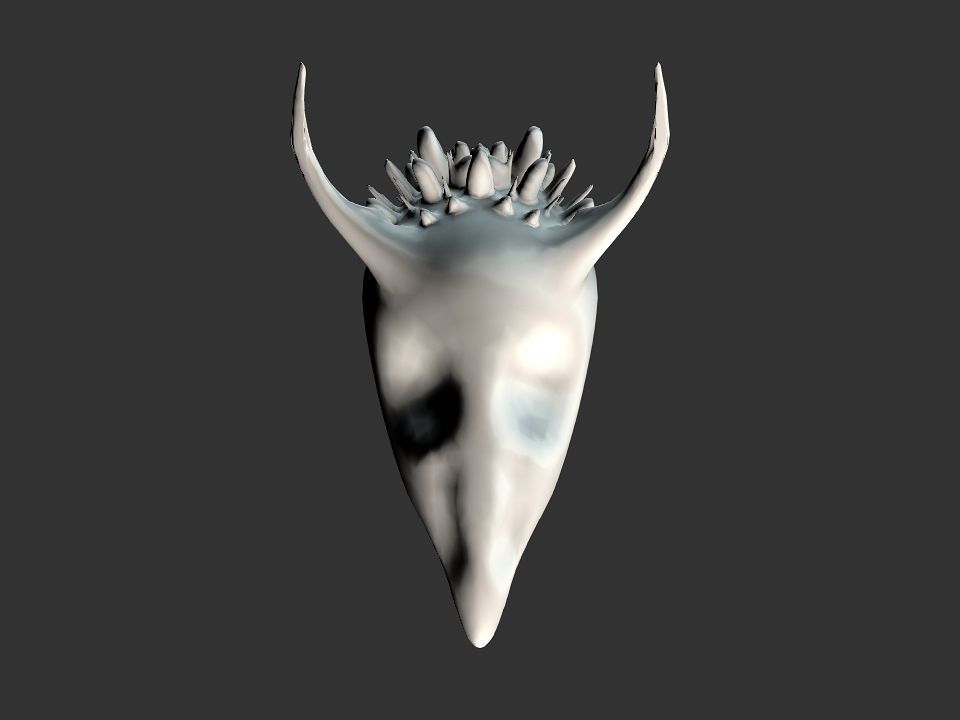 Beak Ox Skull for 3D print 3D print model_24