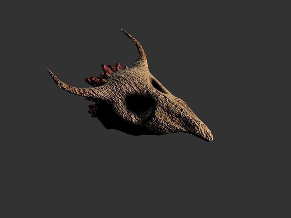 Beak Ox Skull for 3D print 3D print model_58