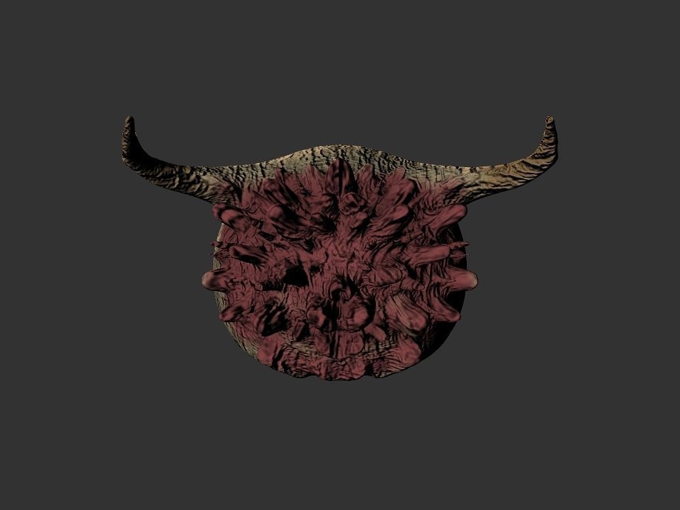 Beak Ox Skull for 3D print 3D print model_62
