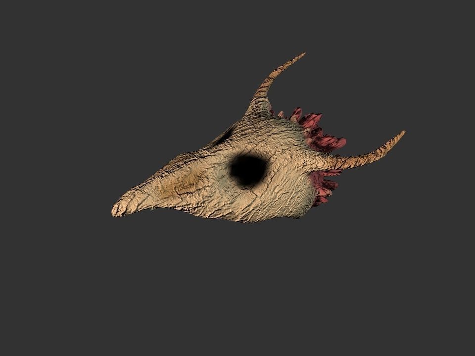 Beak Ox Skull for 3D print 3D print model_48