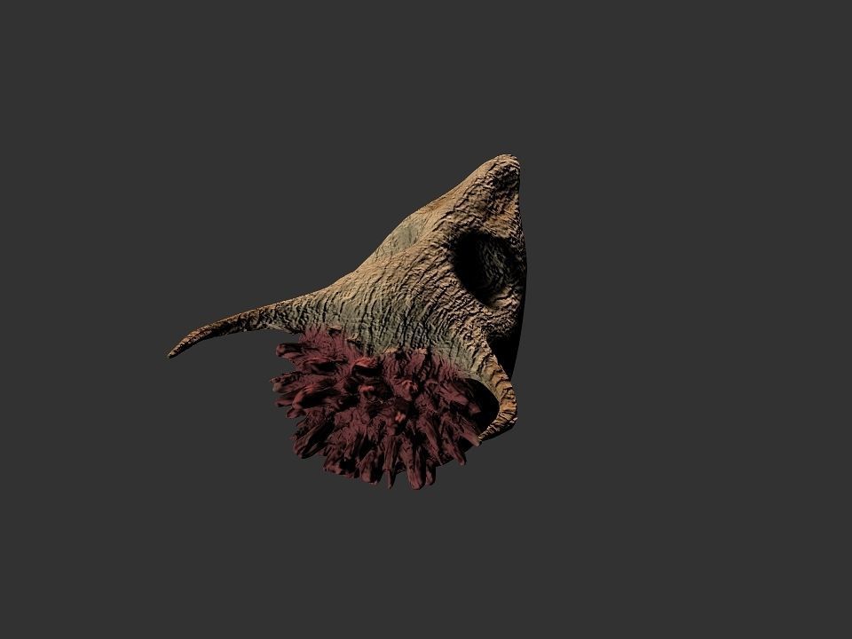 Beak Ox Skull for 3D print 3D print model_55