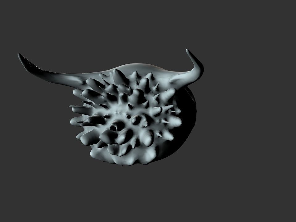 Beak Ox Skull for 3D print 3D print model_25