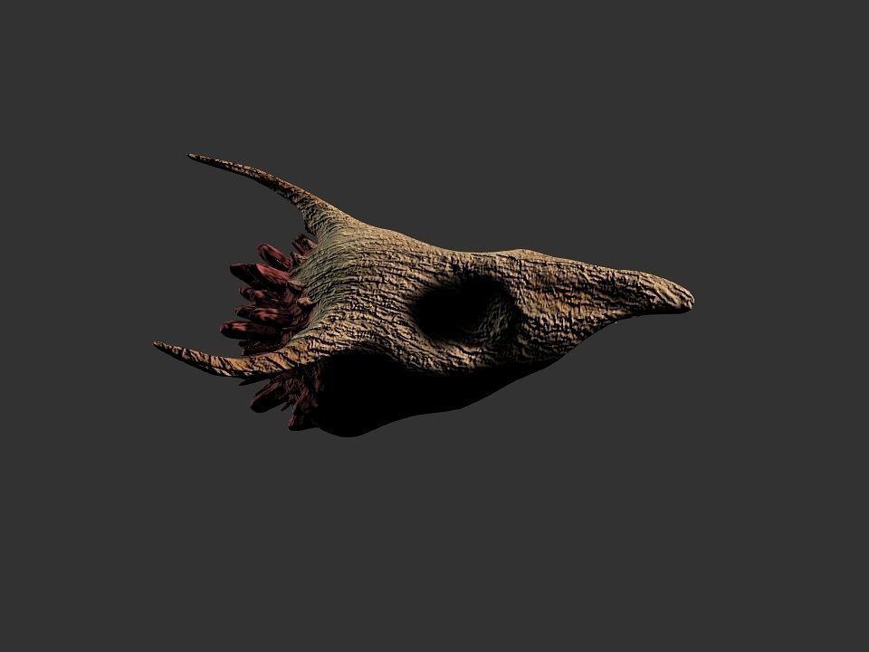 Beak Ox Skull for 3D print 3D print model_57