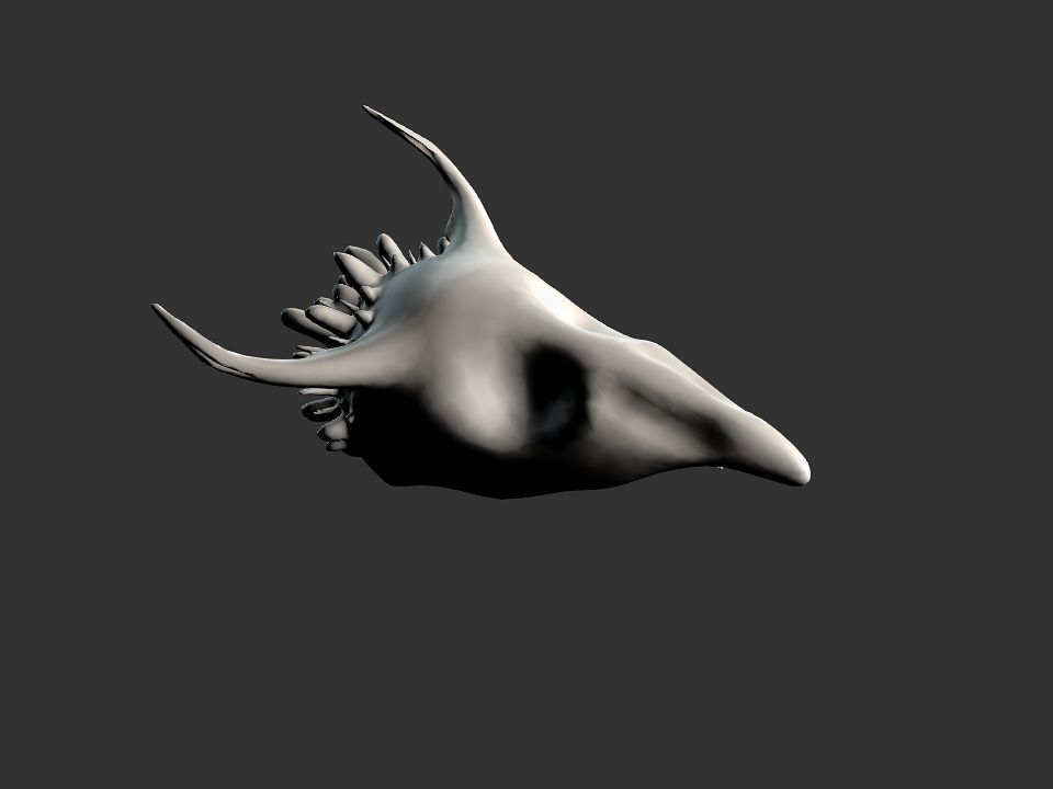 Beak Ox Skull for 3D print 3D print model_32