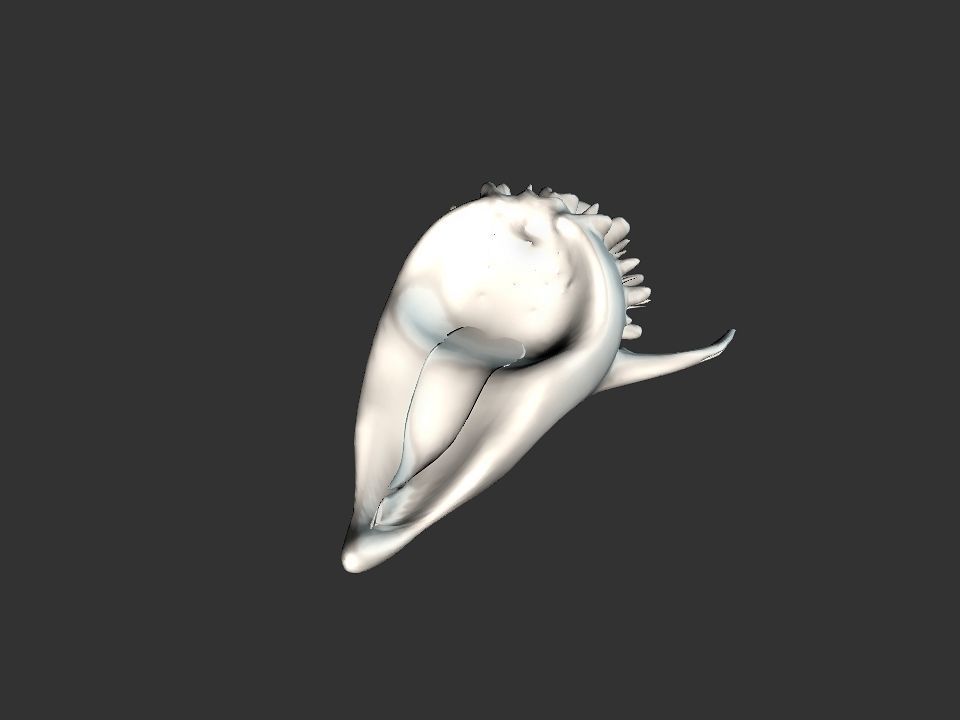 Beak Ox Skull for 3D print 3D print model_34
