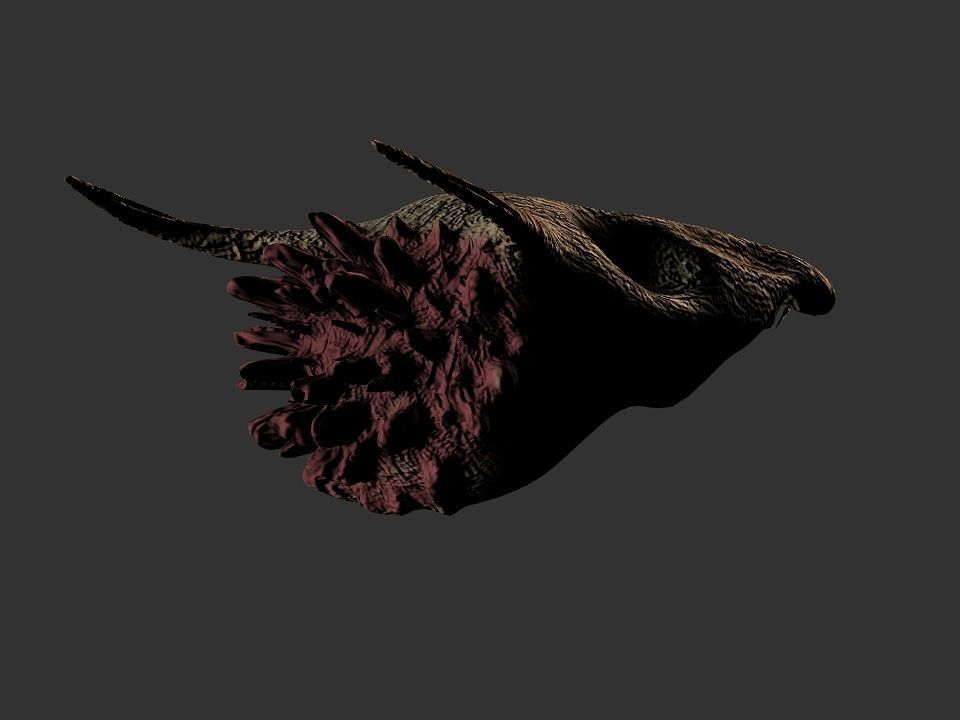 Beak Ox Skull for 3D print 3D print model_65