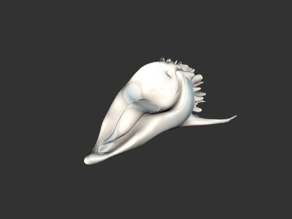 Beak Ox Skull for 3D print 3D print model_36