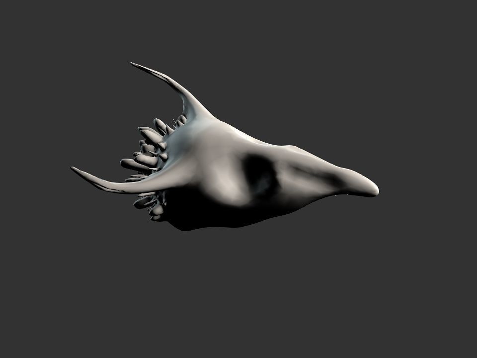 Beak Ox Skull for 3D print 3D print model_17