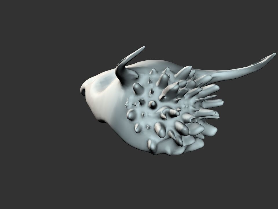 Beak Ox Skull for 3D print 3D print model_38