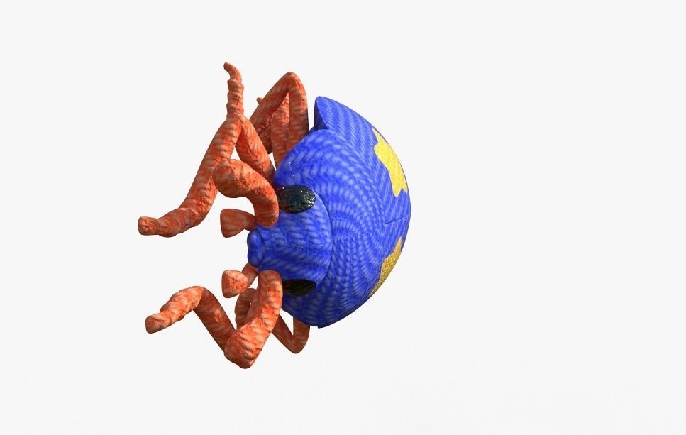 Brave Ladybug Free low-poly 3D model_1