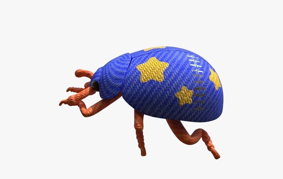 Brave Ladybug Free low-poly 3D model_5