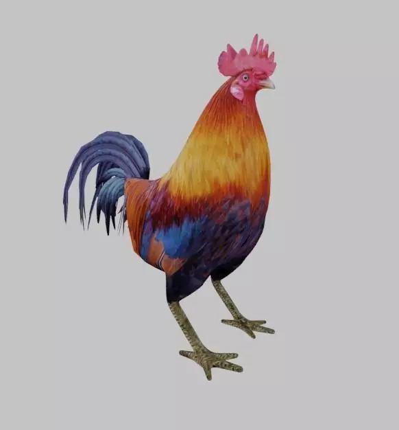 Rooster colorful Low-poly 3D model_0