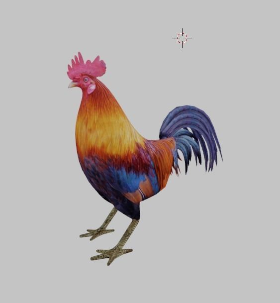 Rooster colorful Low-poly 3D model_1