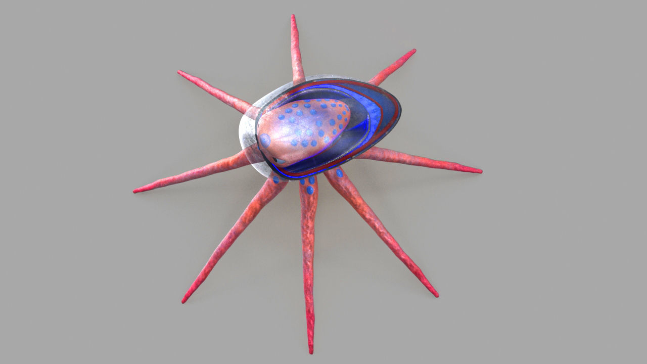 space octopus Low-poly 3D model_15