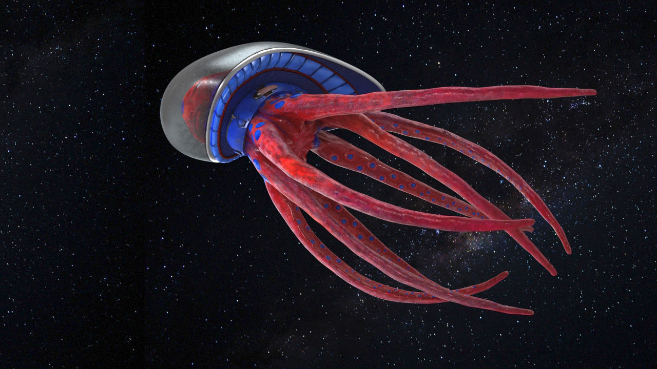 space octopus Low-poly 3D model_2