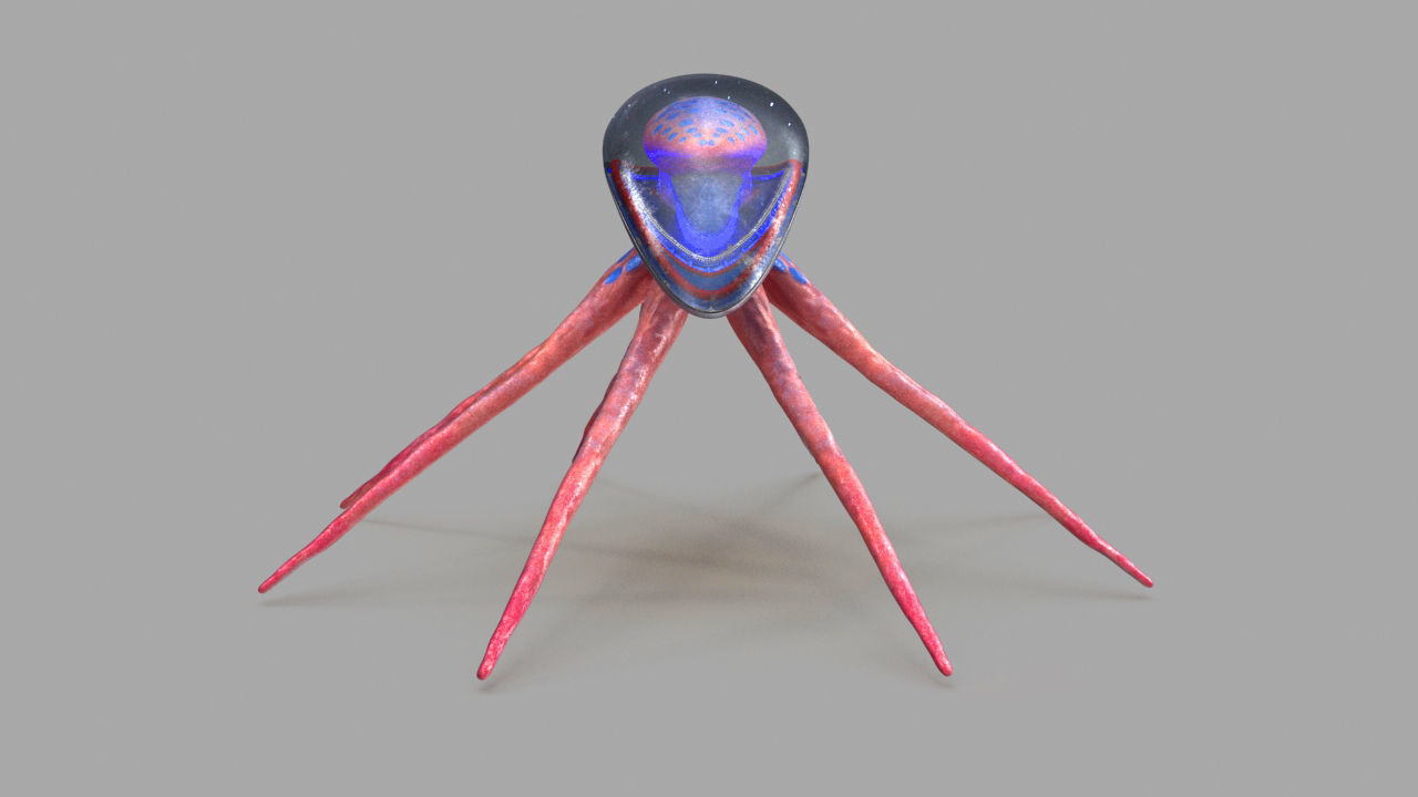 space octopus Low-poly 3D model_16