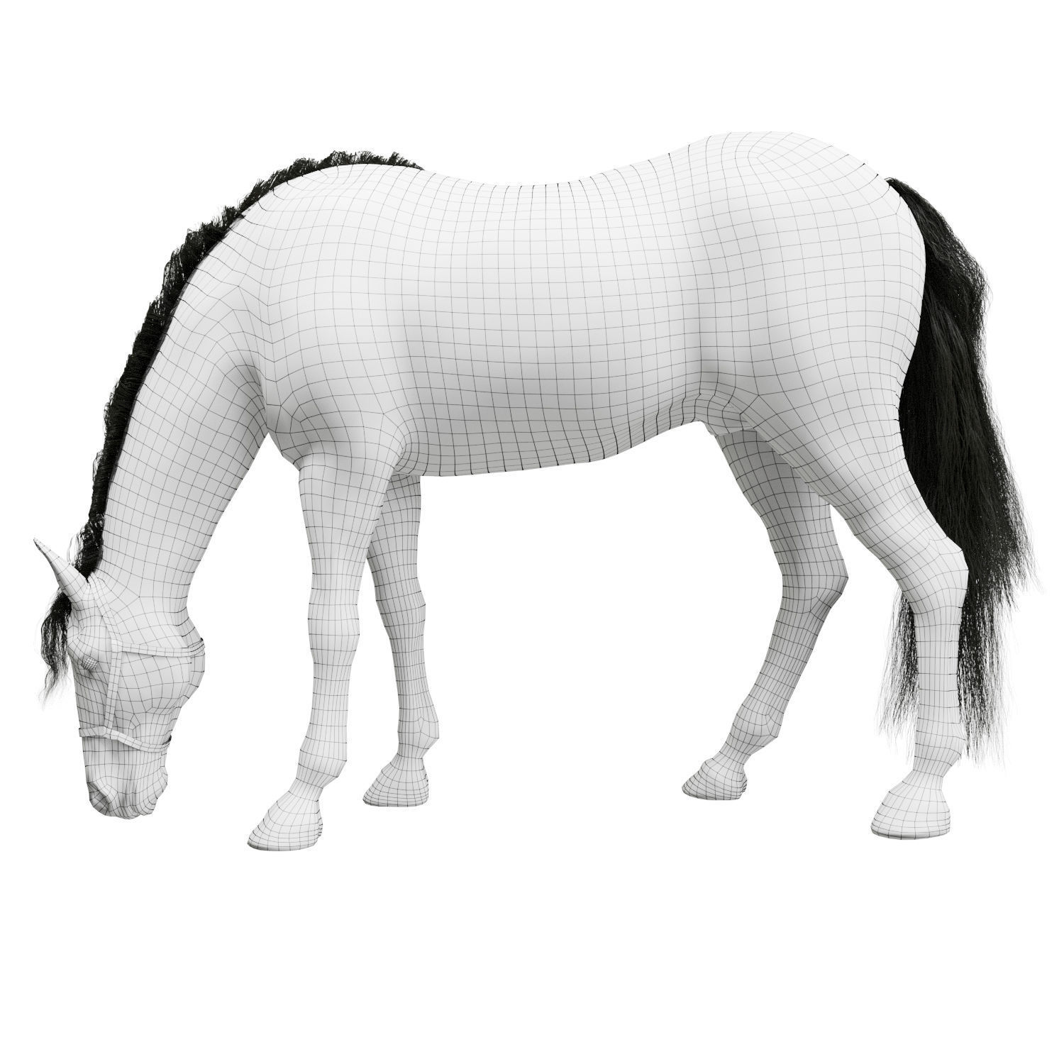 Horse grazing 3D model_5
