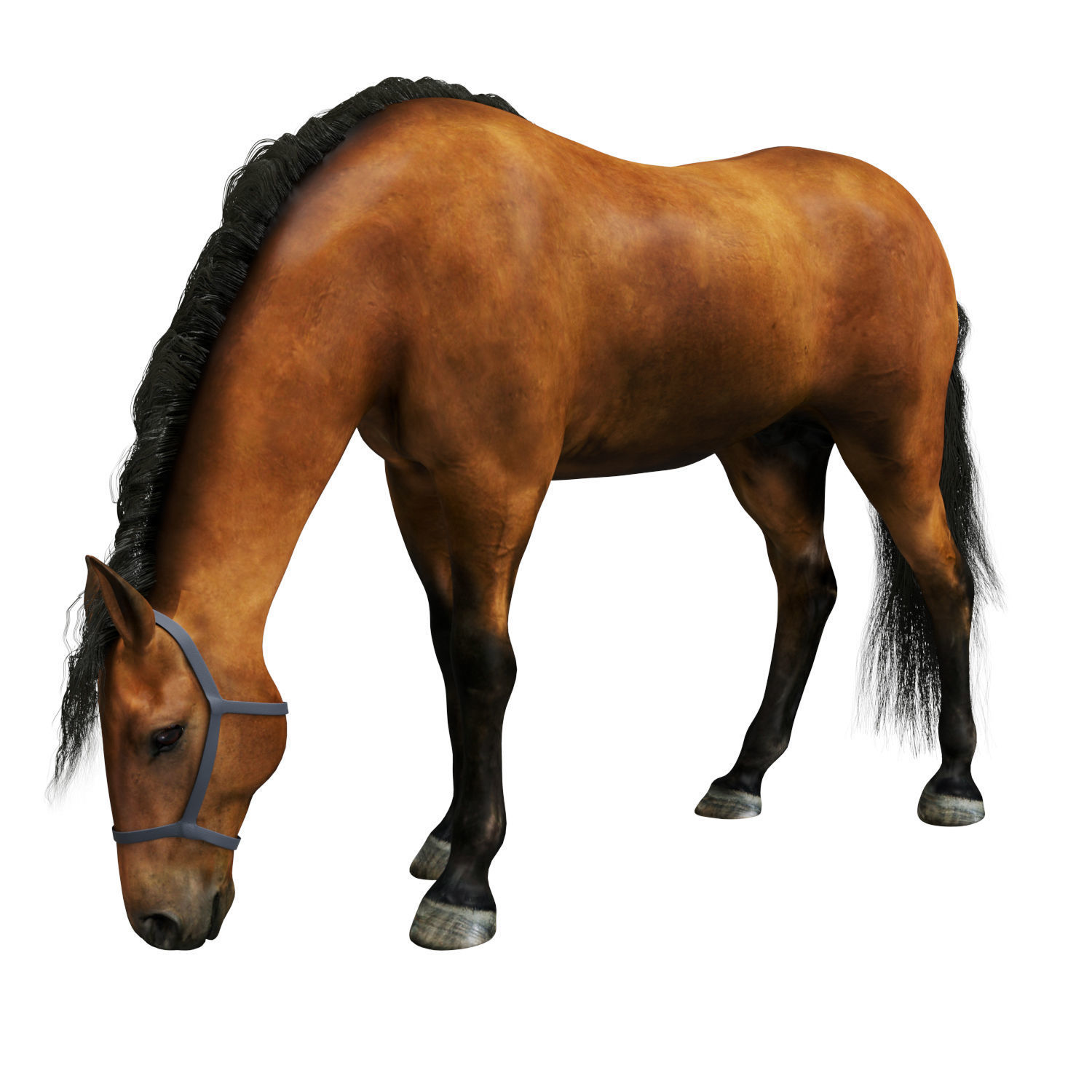 Horse grazing 3D model_2