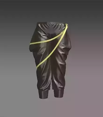 Baggy-Style pair of pants with belt