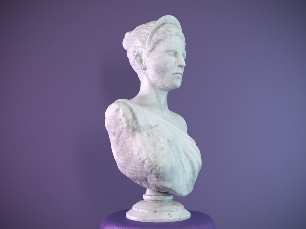 Female Bust Free 3D model_1