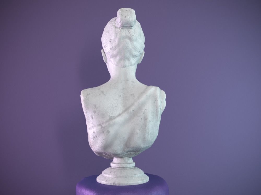 Female Bust Free 3D model_2