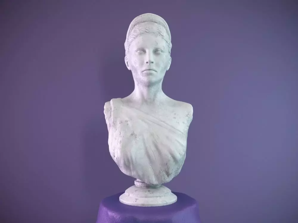 Female Bust Free 3D model_0