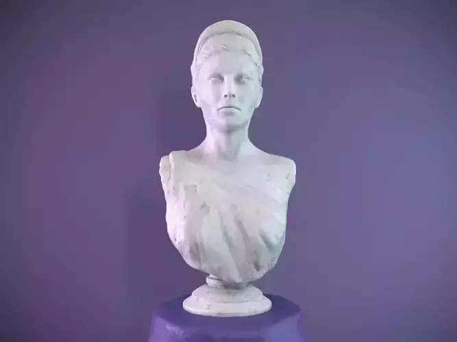 Female Bust Free 3D model
