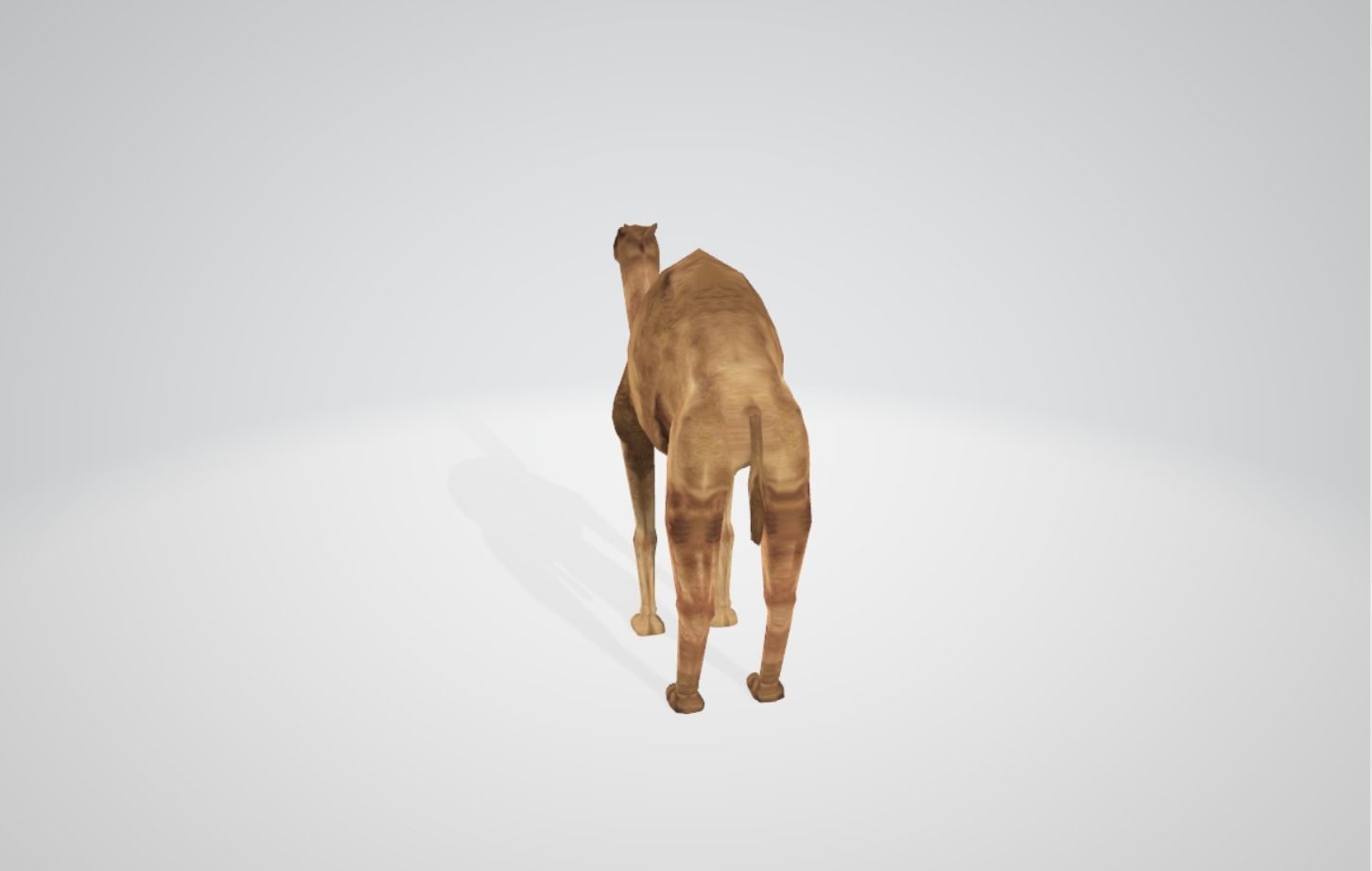 Camel Low-poly 3D model_9