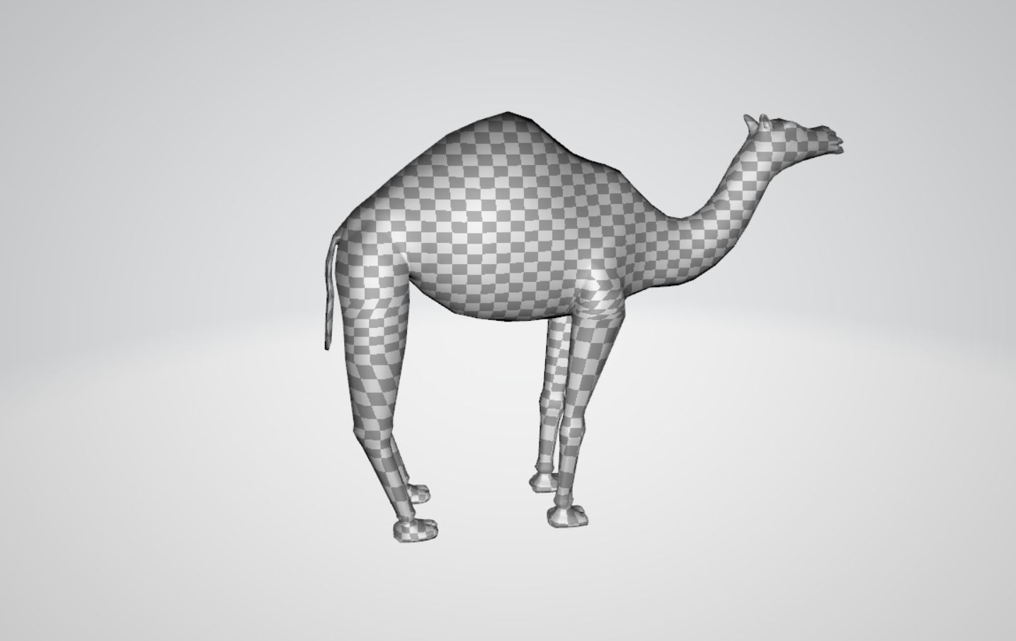 Camel Low-poly 3D model_4