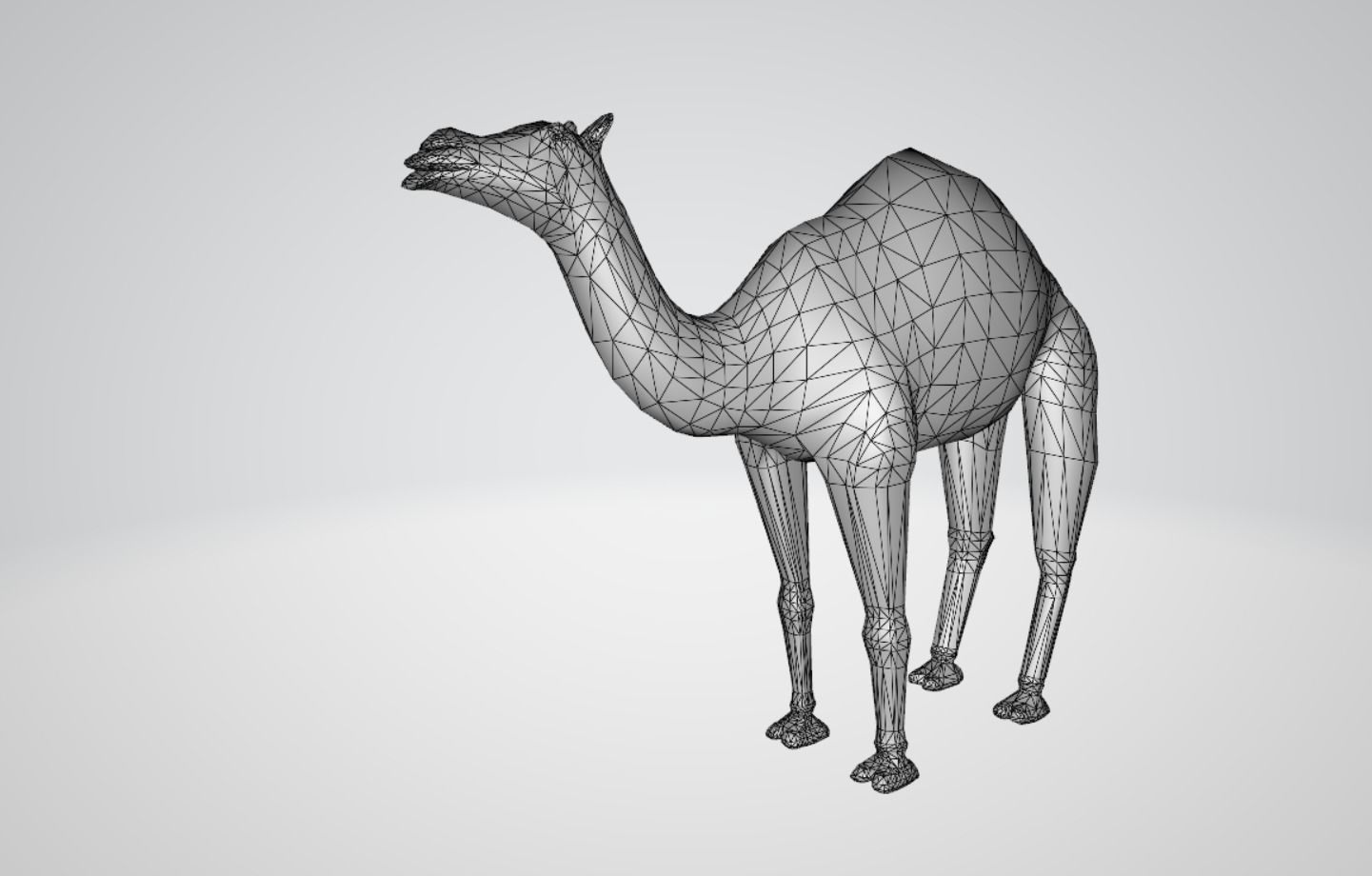 Camel Low-poly 3D model_2