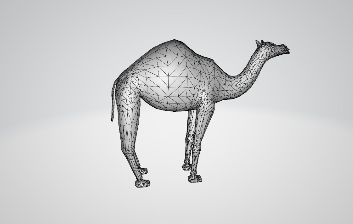 Camel Low-poly 3D model_3